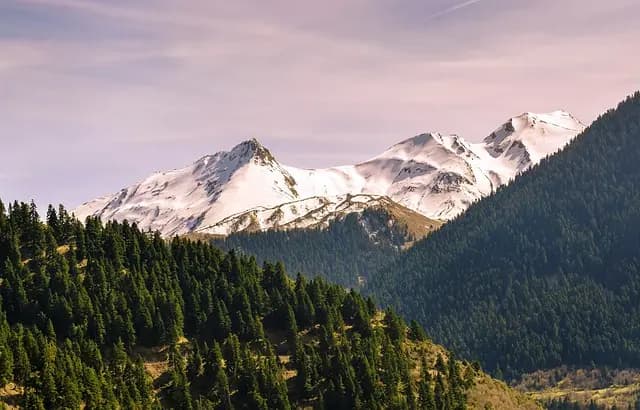 Les Destinations Écologiques à Visiter : Tendance 2026
