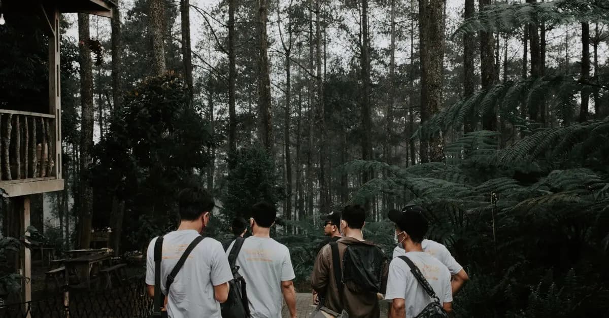 Les Excursions Écologiques : La Tendance des Voyages Responsables