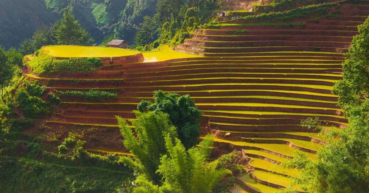 Écoresponsable : Voyages Zéro Carbone, Comment Faire ?