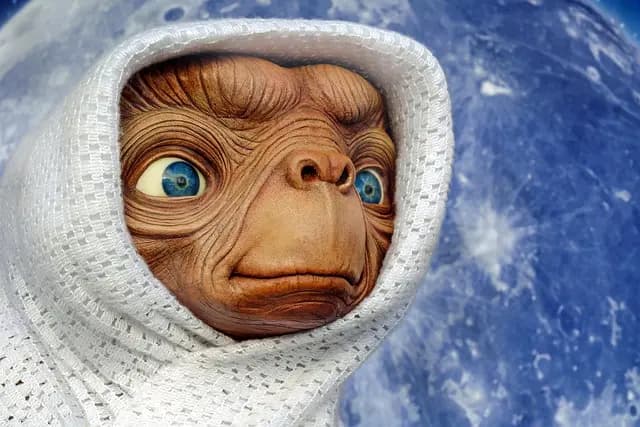 Les Tendances des Voyages Alternatifs en 2026 à Suivre