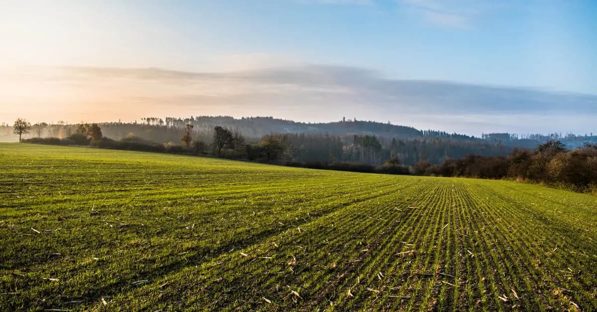 10 Idées de Voyage Alternatif pour Éveiller vos Sens